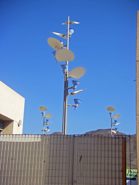 IMGP0806.JPG