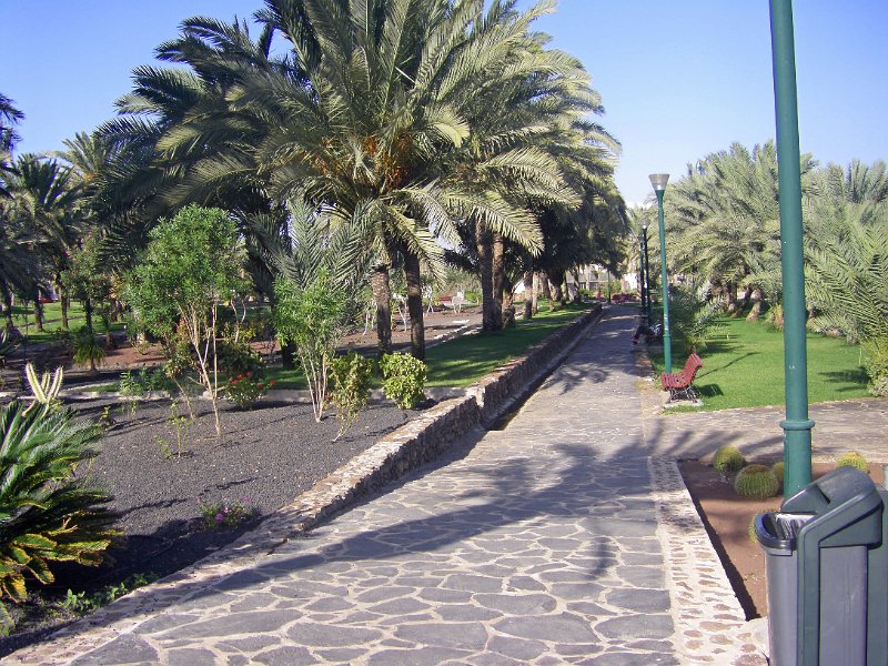 IMGP0820.JPG