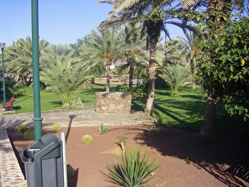 IMGP0821.JPG