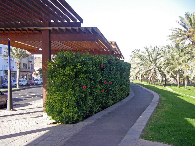 IMGP0825.JPG