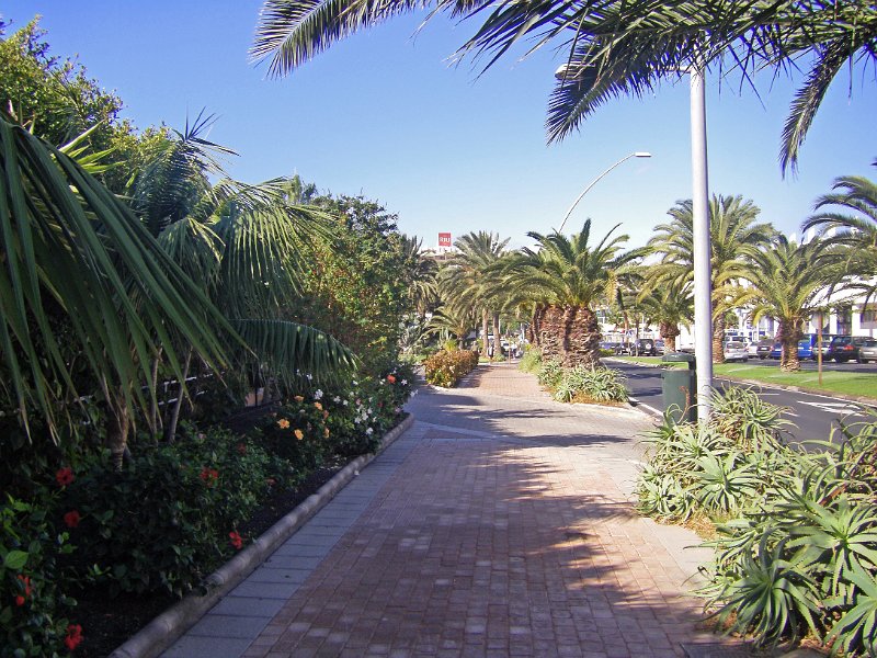IMGP0858.JPG