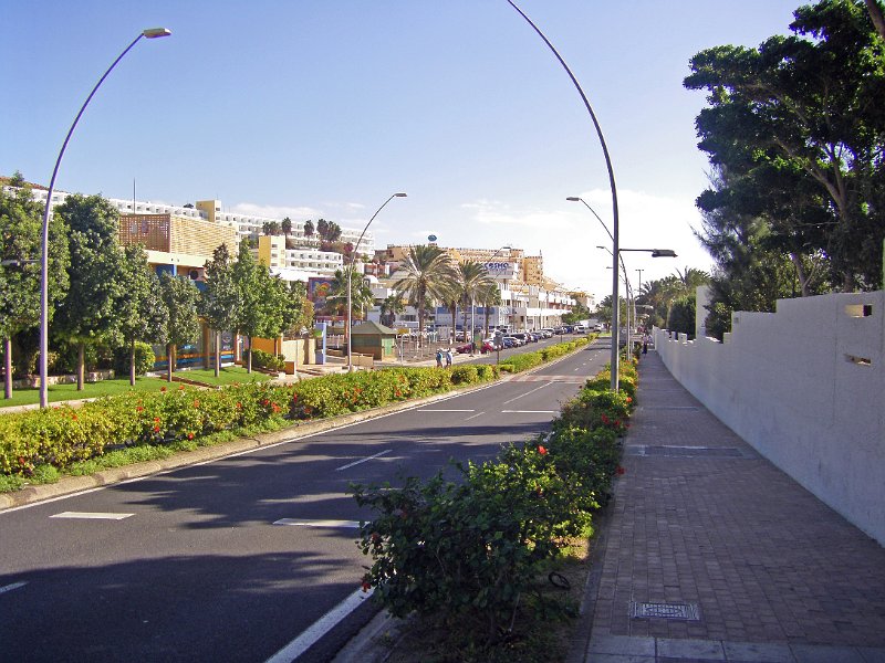 IMGP0862.JPG