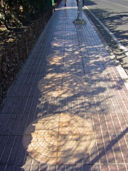 IMGP0873.JPG