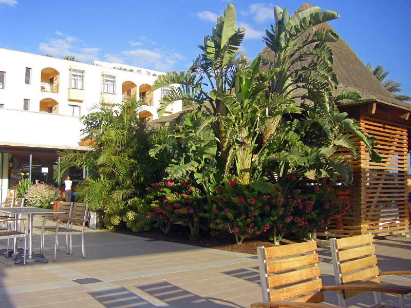 IMGP0901.JPG
