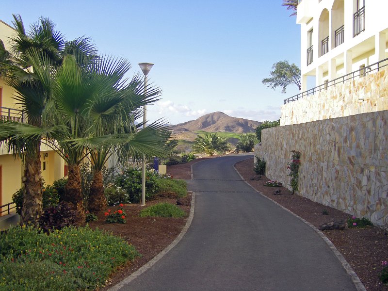 IMGP0911.JPG