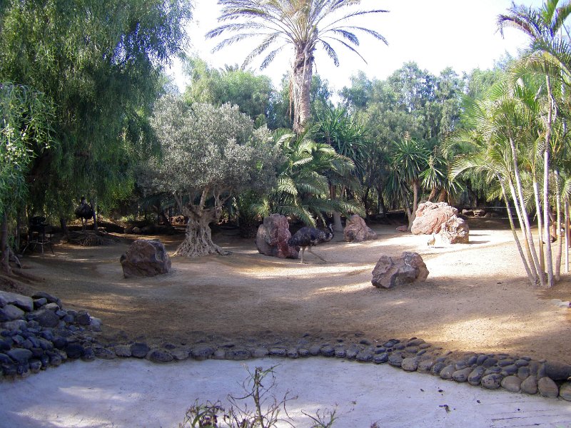 IMGP1004.JPG