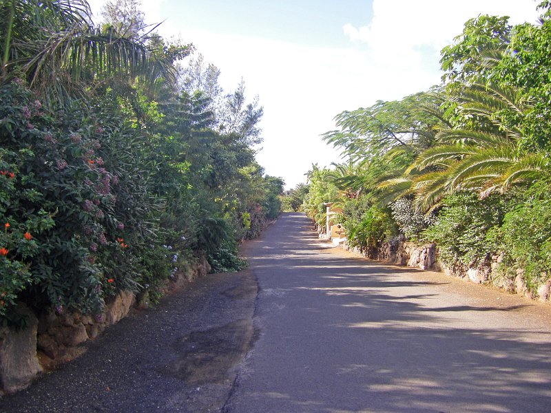IMGP1039.JPG