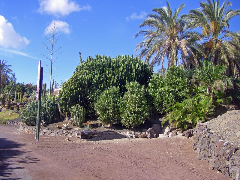 IMGP1043.JPG
