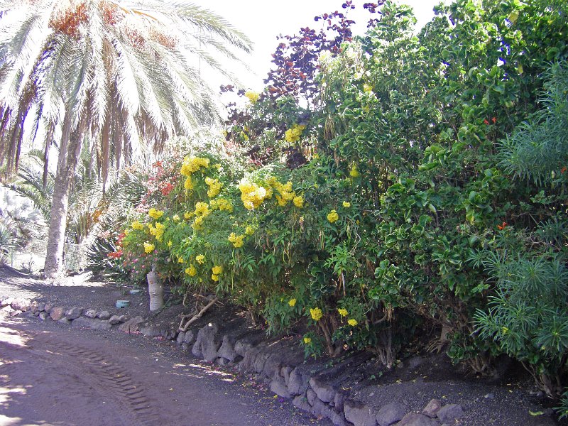 IMGP1056.JPG