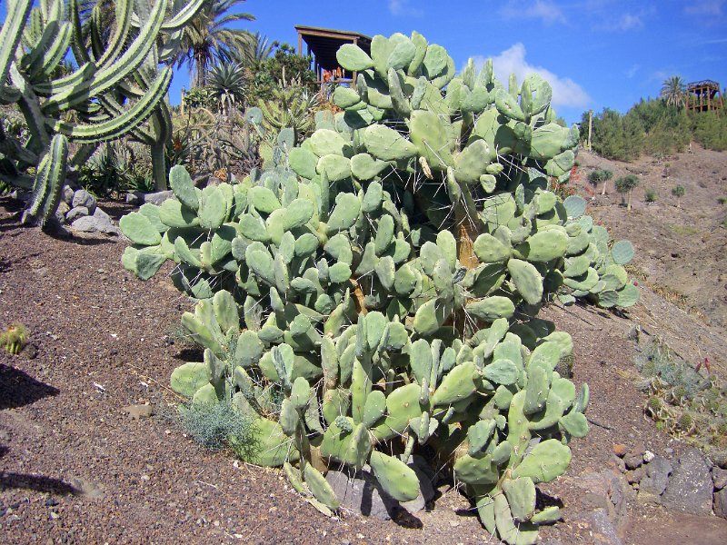IMGP1085.JPG