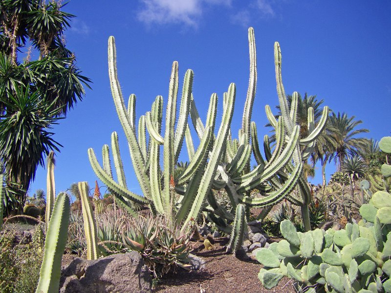 IMGP1086.JPG