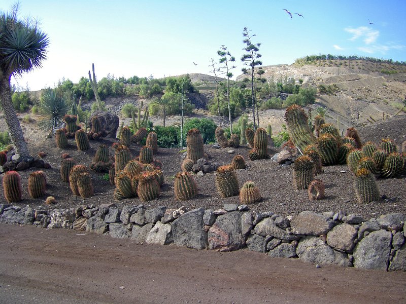 IMGP1089.JPG