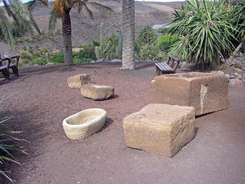 IMGP1101.JPG