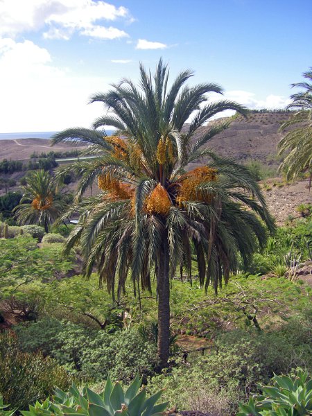 IMGP1112.JPG