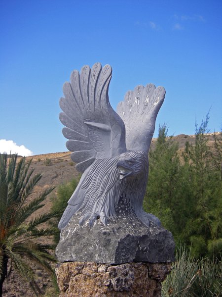 IMGP1113.JPG