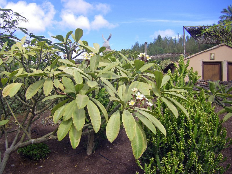 IMGP1116.JPG