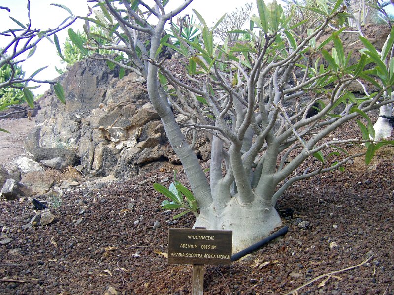 IMGP1118.JPG