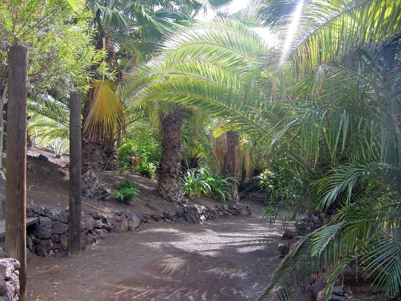 IMGP1141.JPG
