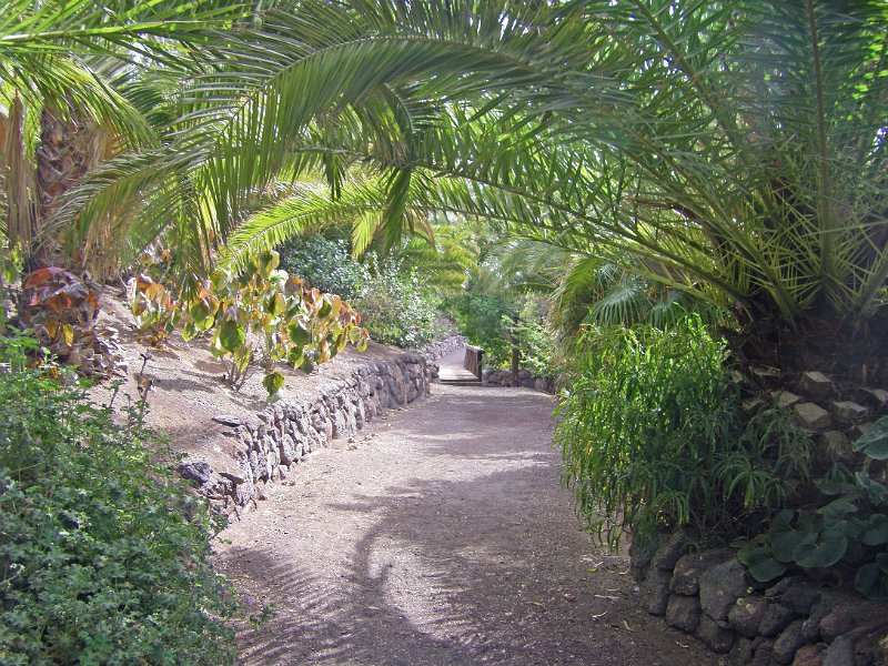 IMGP1142.JPG