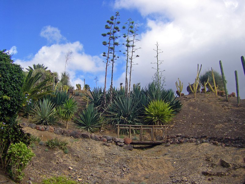IMGP1144.JPG