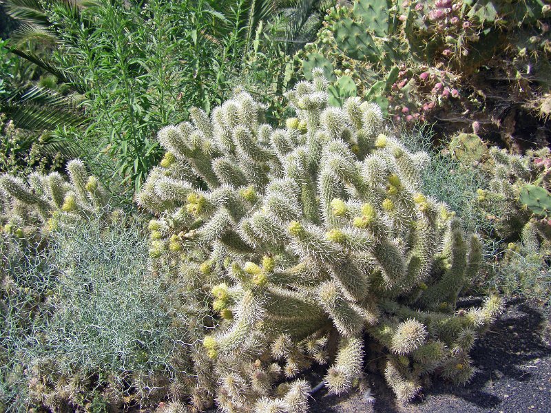 IMGP1147.JPG