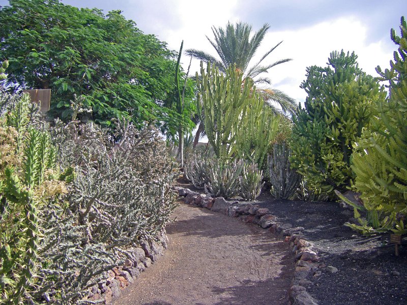 IMGP1149.JPG