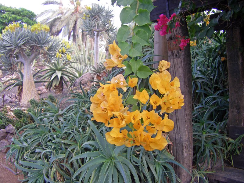 IMGP1155.JPG