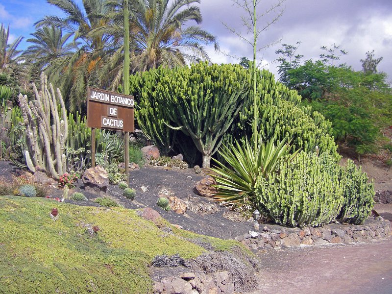 IMGP1171.JPG