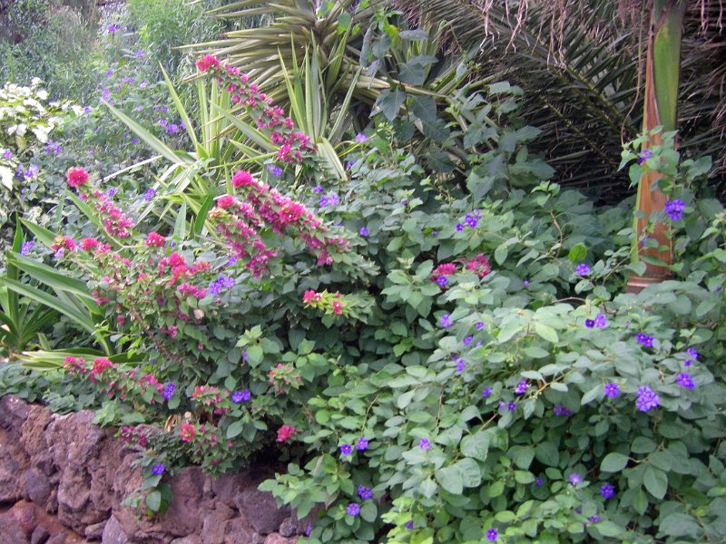 IMGP1178.JPG