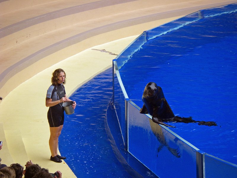 IMGP1209.JPG