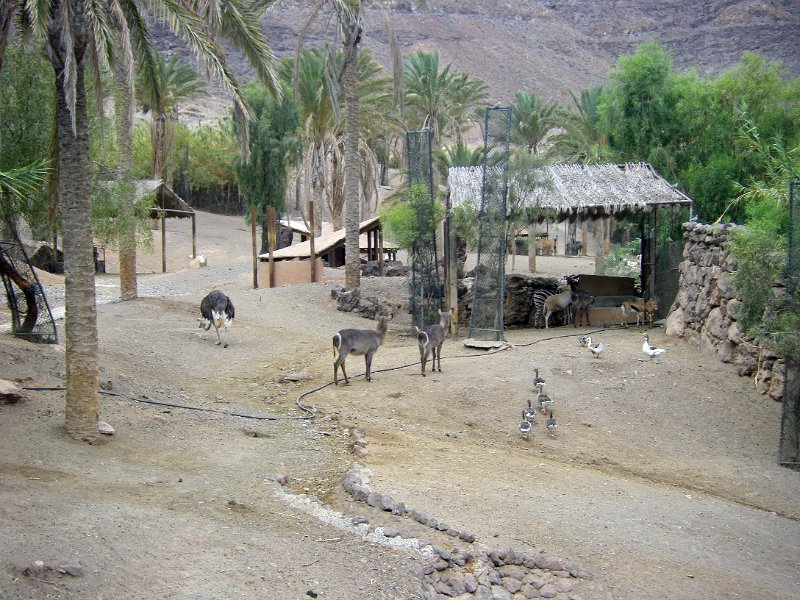 IMGP1211.JPG