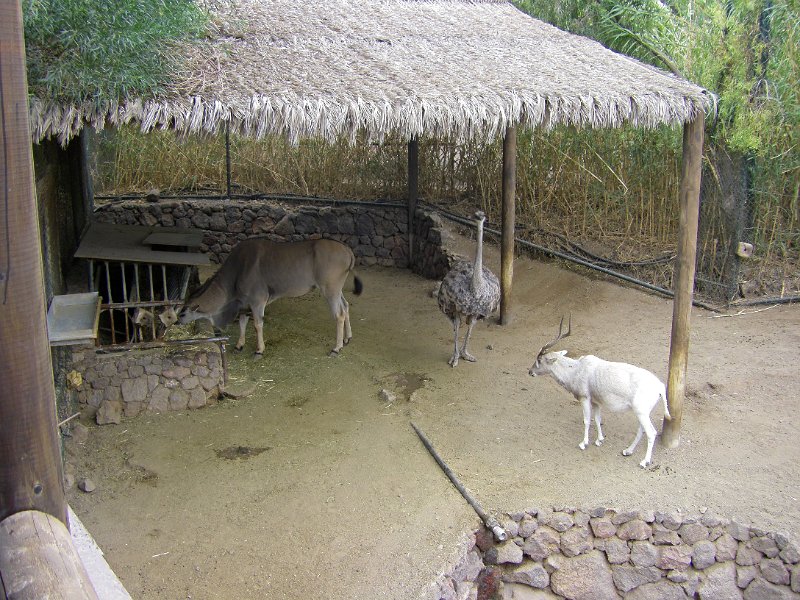 IMGP1212.JPG