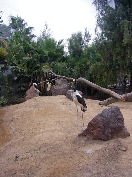 IMGP1213.JPG