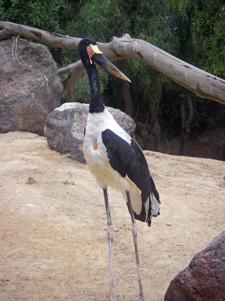 IMGP1214.JPG