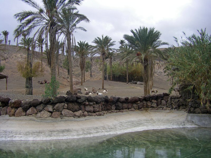 IMGP1221.JPG