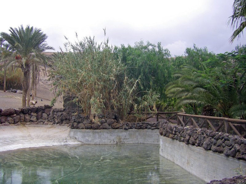 IMGP1223.JPG