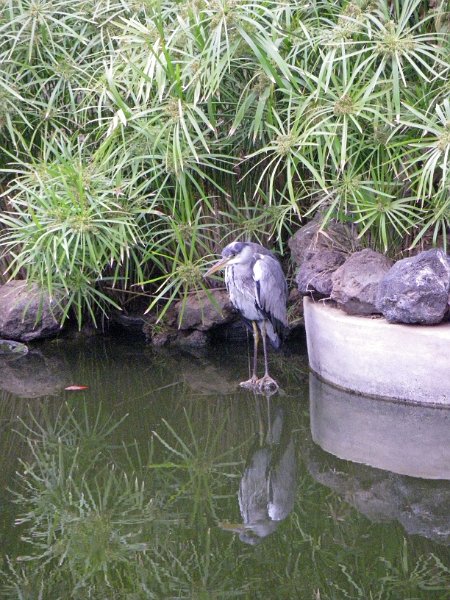 IMGP1226.JPG