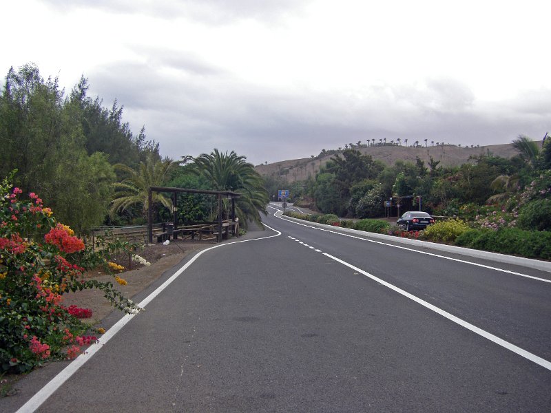 IMGP1230.JPG