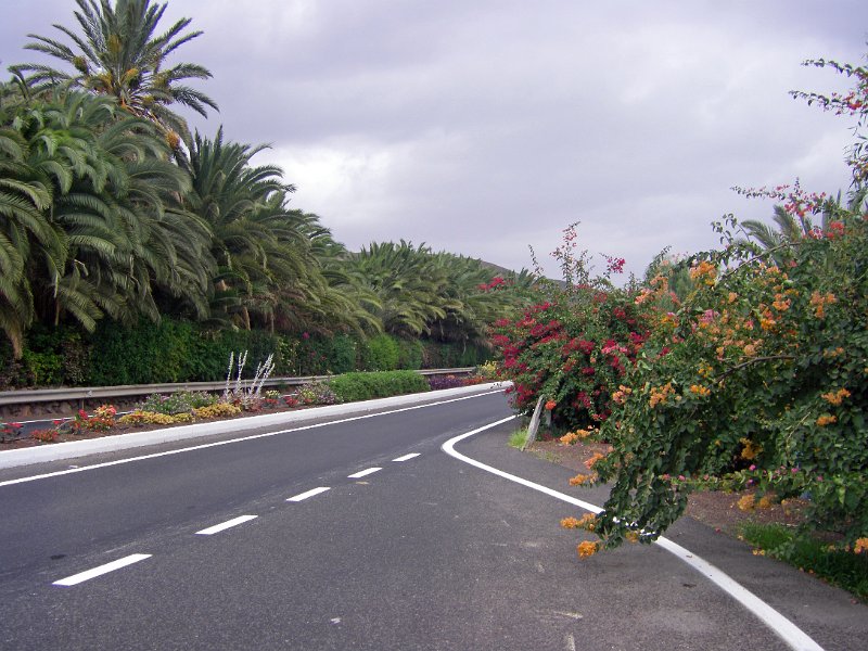 IMGP1232.JPG