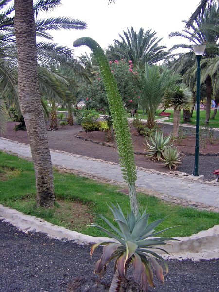 IMGP1233.JPG