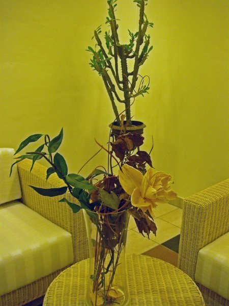 IMGP1248.JPG
