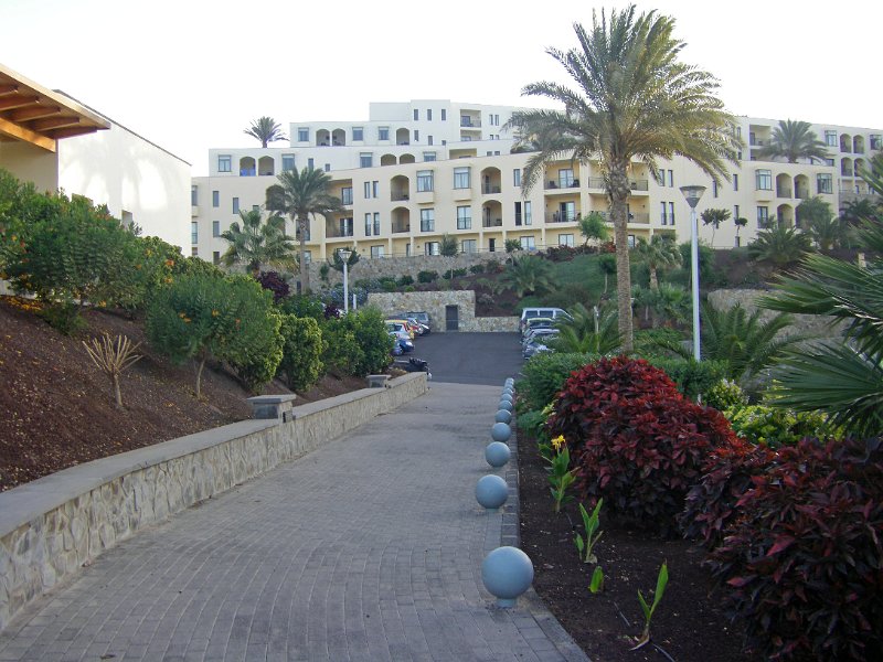 IMGP1255.JPG