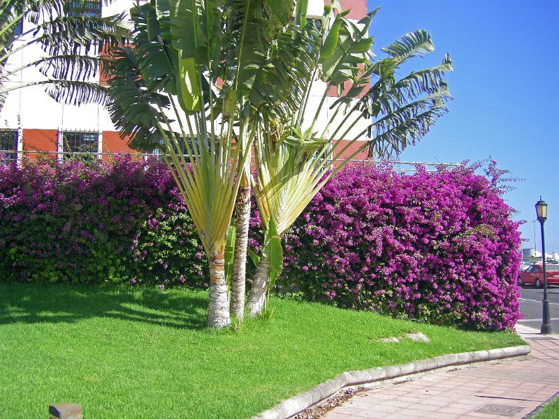 IMGP1294.JPG