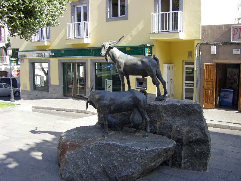 IMGP1309.JPG