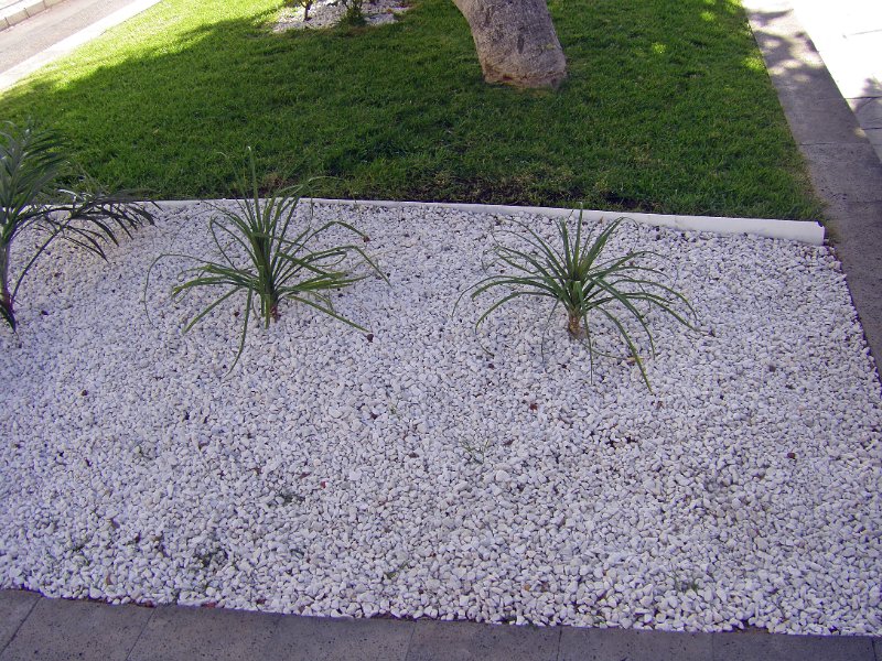 IMGP1310.JPG