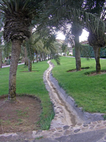 IMGP1420.JPG