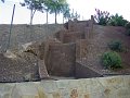 IMGP0593