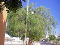 IMGP0616
