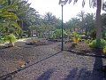IMGP0828