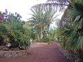 IMGP0929
